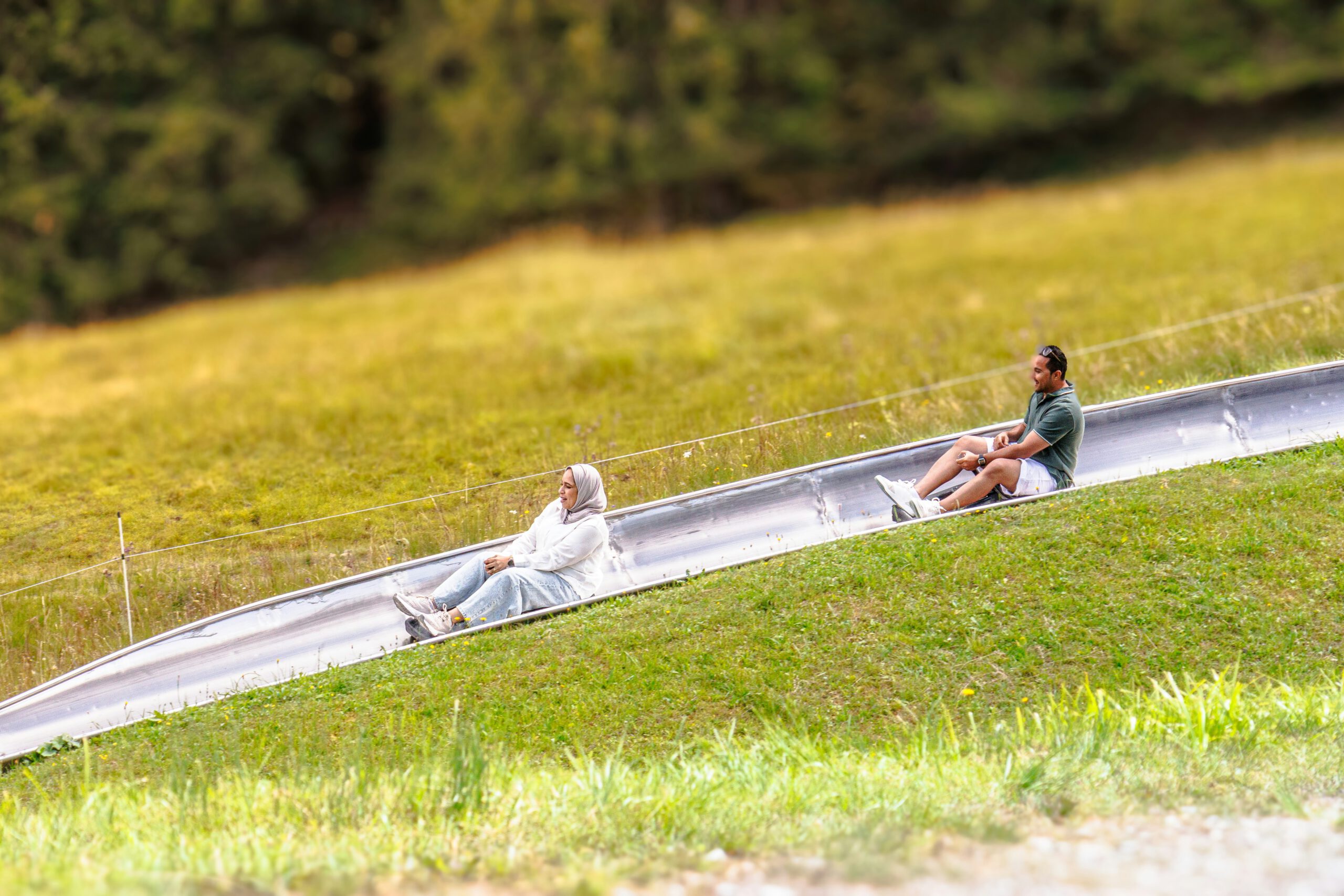 Alpine coaster track winding through a mountain meadow Aerial view of a summer toboggan run curving through green alpine meadows