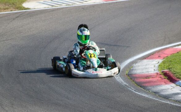 Centrifugal clutch for go-kart racing and high-performance applications